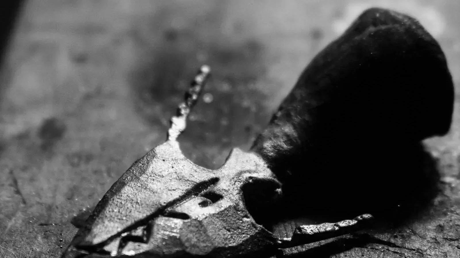 The Currency We Cannot Trade Back