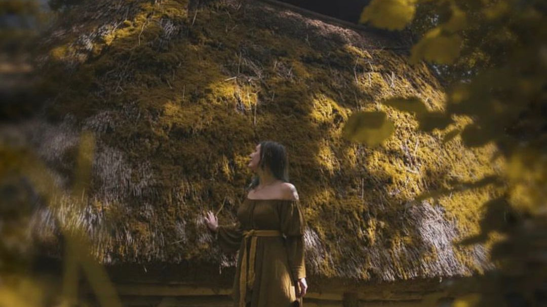 About the Viking Age and who the Vikings were - A guest blog post from Elin Pirso