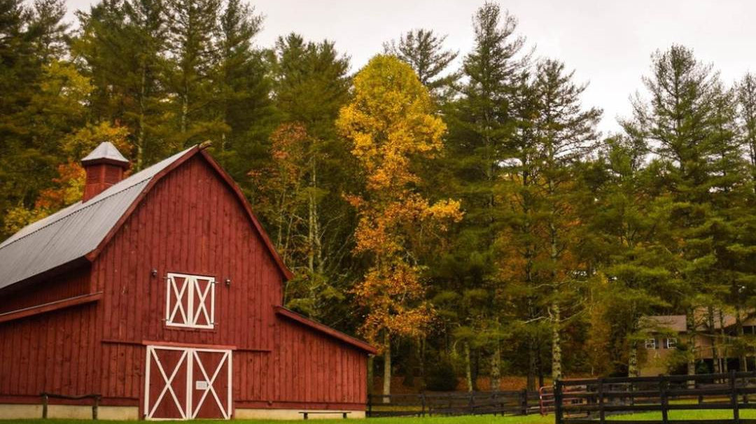 Exploring the World of Tomten: The Hidden Force Behind Sweden's Farm Life