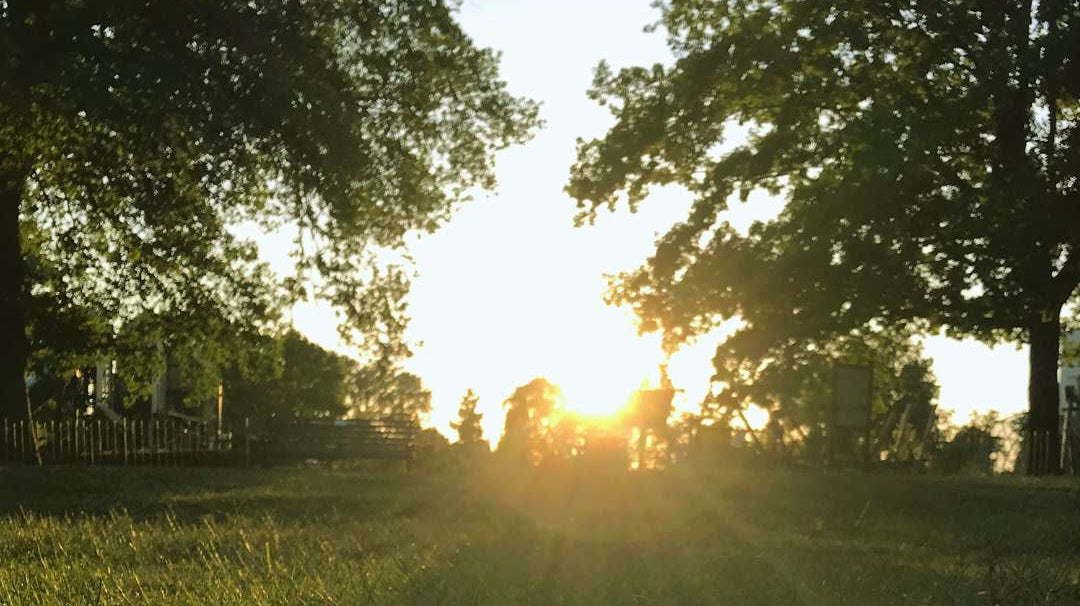 Light, Love, and Festive Delights: Embracing Litha and Midsummer Celebrations