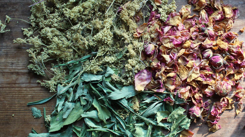 viking herbs and medicine