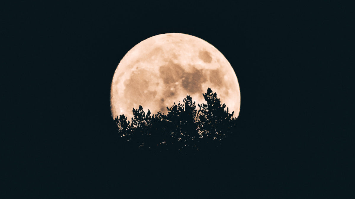 Walking with the Moon: A Guide to the 8 Phases in Wicca