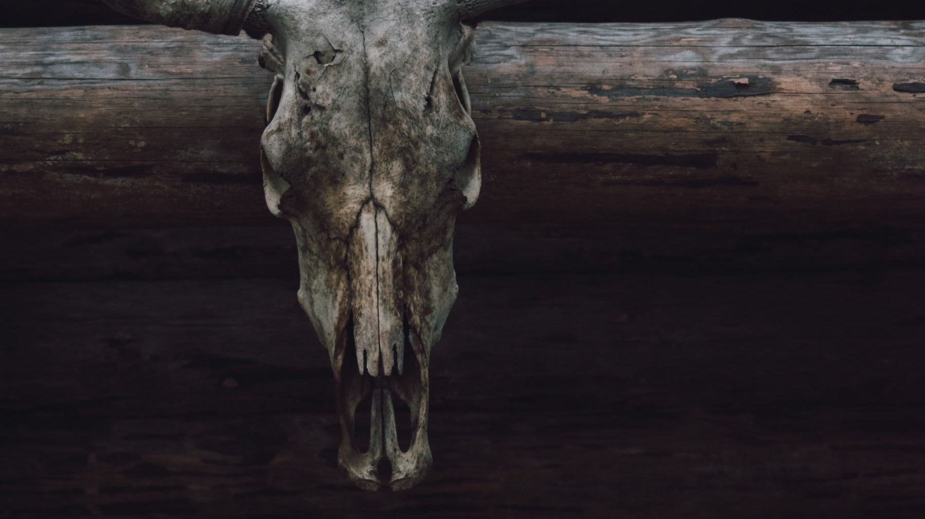 the viking multi part soul