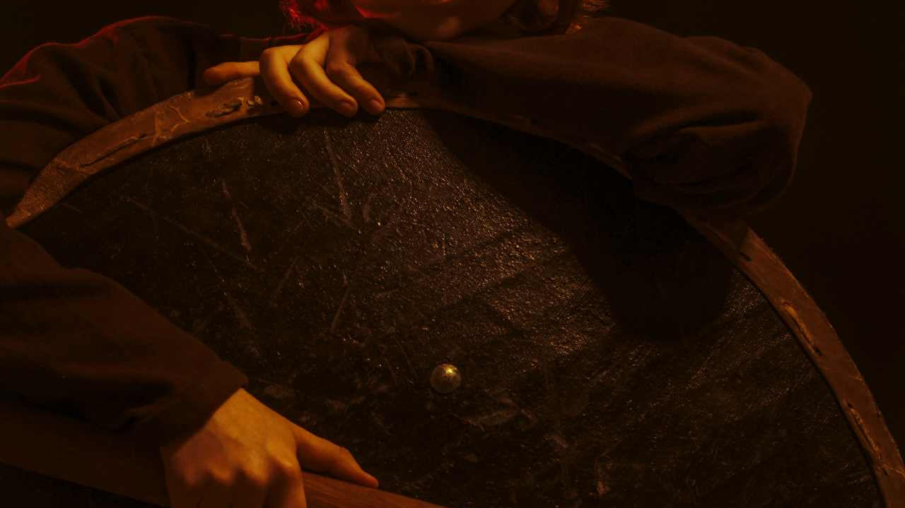 picture of a shieldmaiden