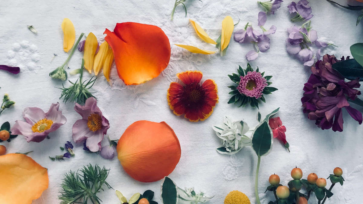 Unleashing the Power of Ostara: A Wiccan Celebration of Renewal