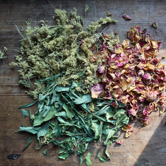 viking herbs and medicine