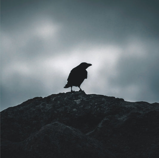 The Wisdom of Odin's Ravens: What Can Hugin and Munin Teach Us Today?